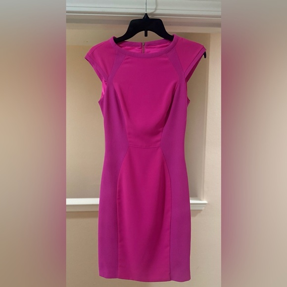 NWOT Women’s Ted Baker Pink Sheath Dress. Size 0 (US 2). - Picture 1 of 7